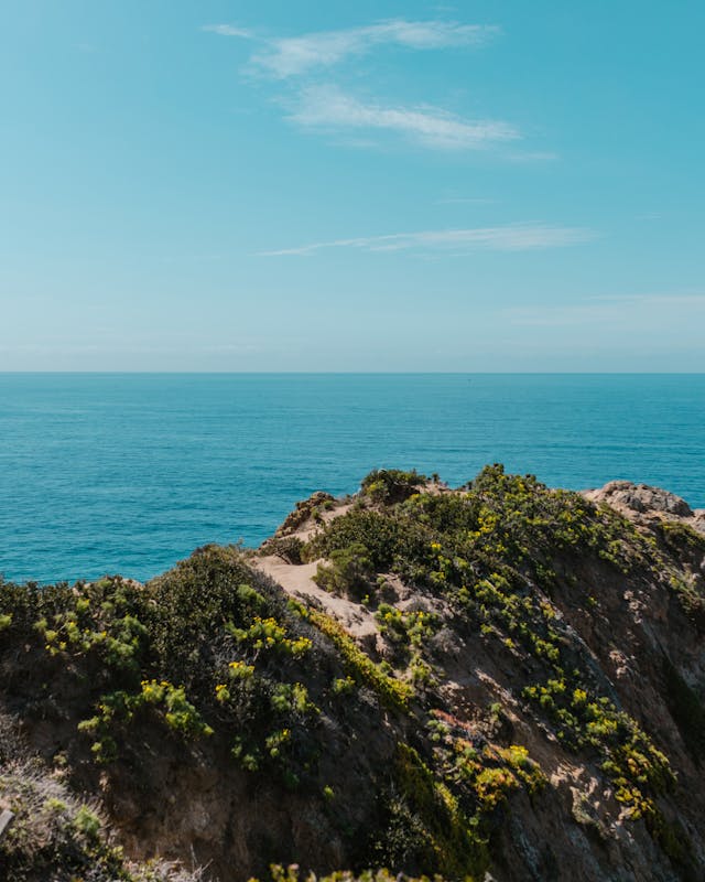 pexels-photo-7348661-1
