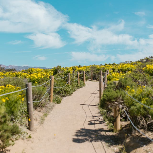 pexels-photo-7348865-1