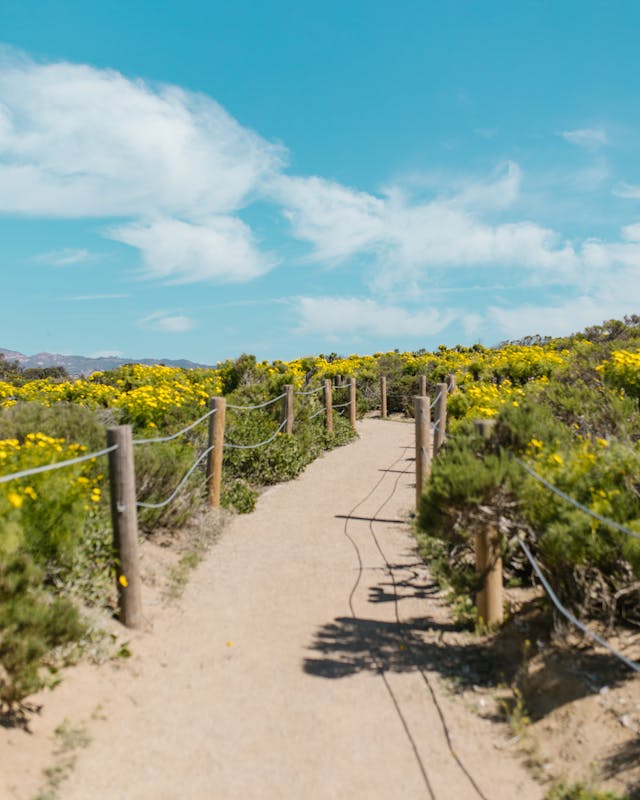pexels-photo-7348865-2